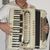 paroara do acordeon