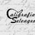 CALIGRAFIA SELVAGEM