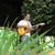 João Miranda Gospel