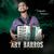 Ary Barros