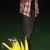 By Sertanejo