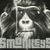 Smonkeys