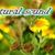 natural sound
