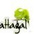 Mattagal'