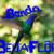 BANDA BEIJA-FLÔR