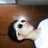 Imagem de perfil de matheus