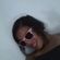 Imagem de perfil de Emile Knowles Araujo