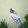 Imagem de perfil de ana carolina asmostrong ethur
