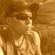 Imagem de perfil de Jose Roberto