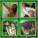 Imagem de perfil de eduarda
