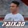 Imagem de perfil de Banda Forró Paixão 2019