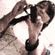 Imagem de perfil de Amanda