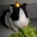 Imagem de perfil de Babii