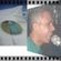 Imagem de perfil de José Edilson Alves