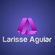Imagem de perfil de LARISSE AGUIAR