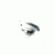 Imagem de perfil de Flavio Kinling