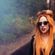 Imagem de perfil de gaga diva