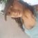 Imagem de perfil de 06251781