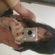 Imagem de perfil de Gabriela