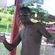Imagem de perfil de jose ailton
