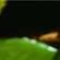 Imagem de perfil de alberto