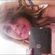 Imagem de perfil de Débora Galvão