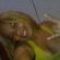 Imagem de perfil de Paula Morays