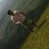 Imagem de perfil de Thales Rodrigues Silva