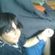 Imagem de perfil de Lucas Bernardo