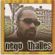 Imagem de perfil de Thales