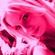 Imagem de perfil de Camila