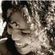 Imagem de perfil de jasmine