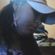 Imagem de perfil de jessica