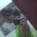 Imagem de perfil de Karina gomes
