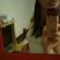 Imagem de perfil de Thais