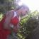 Imagem de perfil de Yago Felype