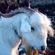 Imagem de perfil de The BellWith