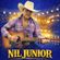 Imagem de perfil de Nil Junior