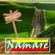 Imagem de perfil de Banda Namaré