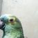 Imagem de perfil de suzane