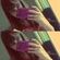 Imagem de perfil de Gabrielly Santos