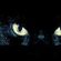 Imagem de GATTO