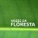 Imagem de Vozes da Floresta