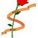 Imagem de Wyld Rose
