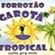 Imagem de Forrozão Garota Tropical
