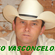 Imagem de Léo Vasconcelos solo