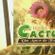 Imagem de Banda Cactus