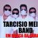Imagem de TARCÍSIO MEIRA'S BAND