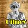 Imagem de GILNEY SHOOW