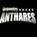 Imagem de Orquestra Anthares